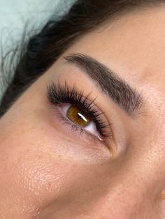 Dramatic Lashes, Beautiful Eyes Color, Tooth Gems, Eyes Color, Natural Eyelash Extensions, Eyelash Extentions, C Curl, Tooth Gem, Eyelash Extension