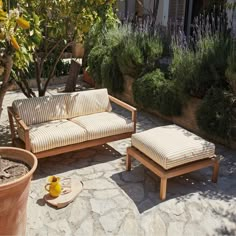 an outdoor seating area with potted plants