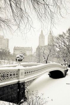 an instagram page with a black and white photo of a bridge in the snow