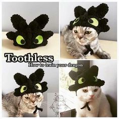 there are four pictures of a cat wearing toothless hats