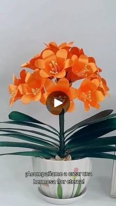 an orange flower in a white vase with green leaves and a video message below it