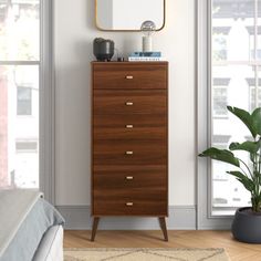 a bedroom with a dresser, mirror and potted plant on the floor in front of it