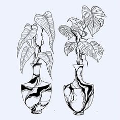 two black and white vases with plants in them