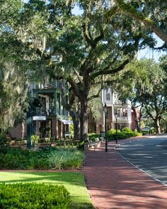 the street is lined with trees and bushes