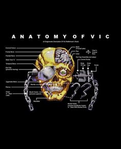 the anatomy of a human skull with parts labeled in english and spanish on a black background