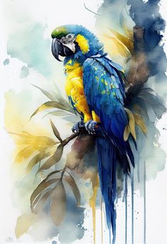 a painting of a blue and yellow parrot perched on a branch