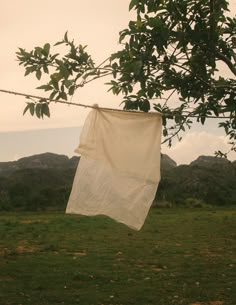 a white cloth hanging from a clothes line on a tree branch with mountains in the background