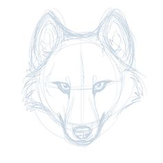 a drawing of a wolf's head