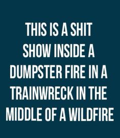 Cool Beans, Workplace Humor, Dumpster Fire, Funny Quotes Sarcasm, Funny Cartoon Quotes, Cartoon Quotes, Sarcastic Quotes Funny, Work Quotes