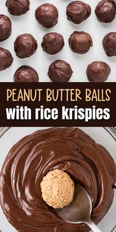 chocolate peanut butter balls with rice krispies on top and in the middle, ready to be eaten