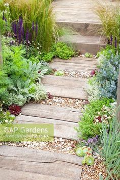 a wooden walkway surrounded by plants and rocks