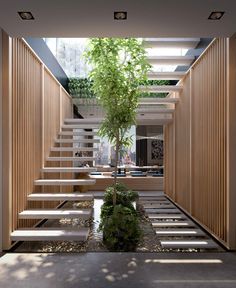 the stairs are made of wood and have plants growing on each step in front of them