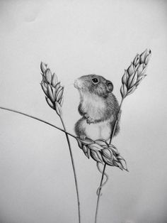 a pencil drawing of a mouse sitting on top of a stalk of oatmeal