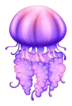 a purple jellyfish floating in the water