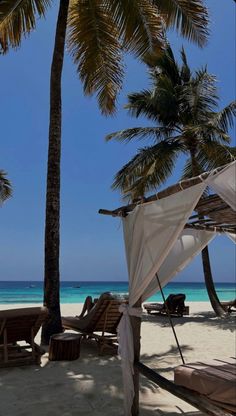 the beach is lined with lounge chairs and palm trees