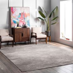 a living room with two chairs and a rug