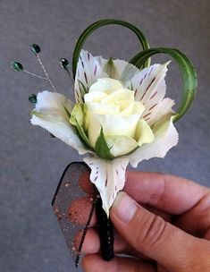 a person holding a flower in their hand