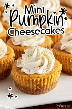 mini pumpkin cheesecakes on a white plate with the title overlay reading mini pumpkin cheesecakes