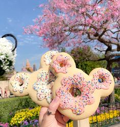 a person holding up two doughnuts with sprinkles on them in front of a park