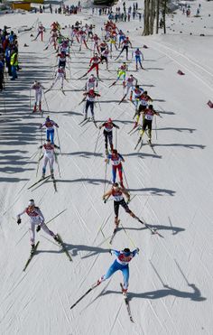 a large group of people riding skis down a snow covered slope