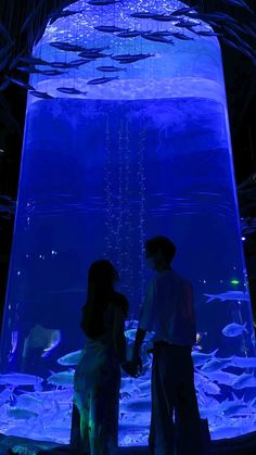 two people standing in front of an aquarium tank with blue lights on it's sides