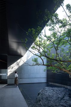 a man standing in front of a tree next to a building with a skylight