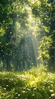 sunbeams shine through the trees and grass in a green forest filled with daisies