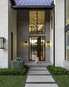 a white dog sitting in front of a house with glass doors and windows on both sides