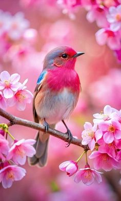 a bird sitting on a branch with pink flowers