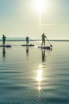 four people are paddling on their surfboards in the water at sunset or sunrise