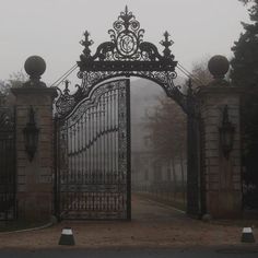 an iron gate is open on a foggy day