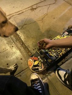 a dog standing next to a skateboard on top of the ground with its owner