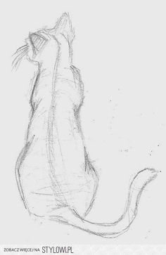 a pencil drawing of a cat looking up at something in the sky with its eyes closed