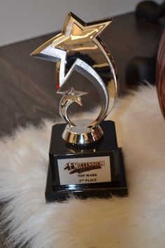 an award is placed on top of a fur rug