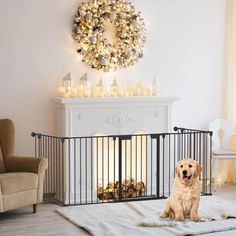 a dog sitting in front of a fire place with a wreath on the wall behind it