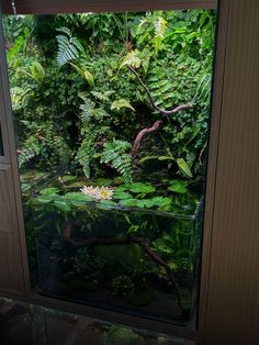 an aquarium filled with water and plants inside of a building next to a wall covered in greenery