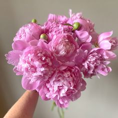 a bouquet of pink peonies in someone's hand