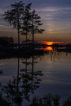 the sun is setting behind some trees on the water's edge, and there are no clouds in the sky