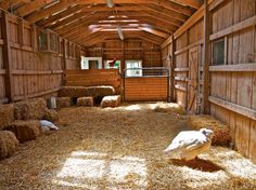 a barn filled with hay and lots of white birds sitting on it's bales