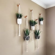 four hanging planters with plants in them on the wall