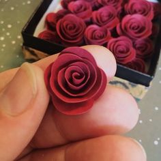 a hand holding a small red rose in front of a box of smaller red roses