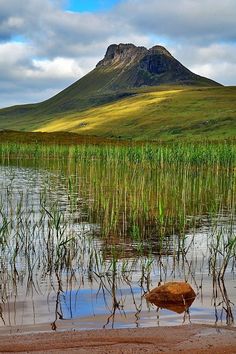 there is a large rock in the water near some tall grass and mountains behind it