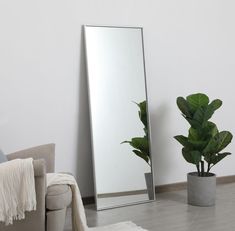 a large mirror sitting next to a plant in a living room