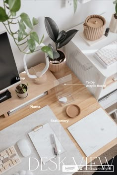 an office desk with plants and other items on it