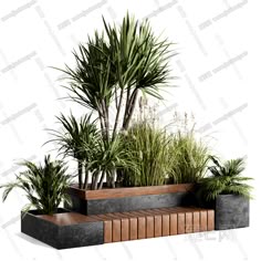 an assortment of plants in planters on top of each other, including palm trees