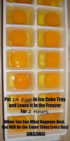 eggs in ice cube trays and leave it in the freezer for 2 hours