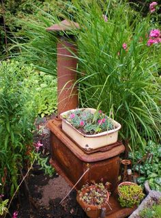 there is a potted plant on top of an old box in the middle of some plants