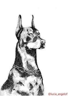 a black and white drawing of a dog