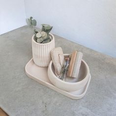 there is a plant in the holder on the counter