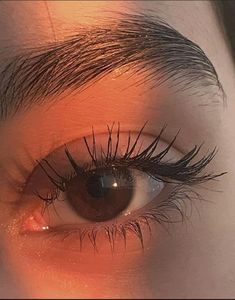 Chocolate Brown Eyes Aesthetic, Brown Aesthetic Eyes, Pretty Eyes Brown, Eye Pics Aesthetic, Pretty Brown Eyes Aesthetic, Aesthetic Eye Photos, Brown Eyes Women, Pretty Eyes Aesthetic, Dark Brown Eyes Aesthetic